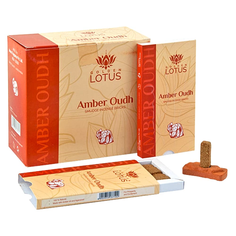 Bricks - Amber Oudh